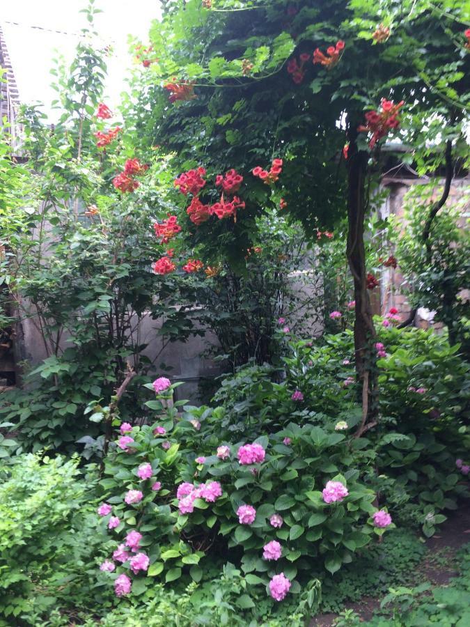 Hostel 48A Τυφλίδα Εξωτερικό φωτογραφία